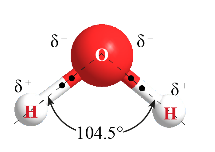 Angle in water molecule